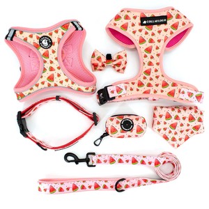 Arnés Ajustable Acolchado de Neopreno para Perro con Correa, Soporte para Bolsas de Excrementos y Pañuelo, Conjunto de Arnés para Perro Tipo Step-in, Fabricación OEM ODM - Product Image 3