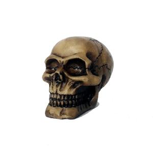 NOMOY PET 도매 파충류 액세서리 <span class=keywords><strong>MINI</strong></span> 수지 인간 머리 뼈 파충류 테라리움 장식 NS-104 - Product Image 1