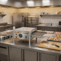 Four à pizza électrique commercial de 12 pouces en acier inoxydable avec minuterie intégrée pour usage en boulangerie