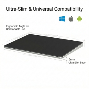 OEM Magic Trackpad Wireless Touchpad With Optical Tracking Ergonomic Design Rechargeable Type-C Stock Mac/Windows/Laptop/Desktop