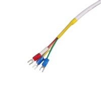 Contrôleur de température de sonde d'acier inoxydable de thermocouple PT100-Type l'utilisation extérieure d'intérieur de 5 mètres