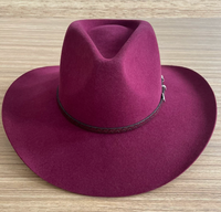 NL117 Einzigartiger Woll-Fedora-Hut im Ethno-Stil mit breiter Krempe, warm für den Winter, neues Design