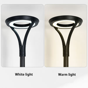 Lampadaires de jardin extérieurs personnalisés 30W 4000K AC alimentés en aluminium étanche IP65 utilisés pour la rue - Product Image 5