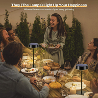 Lampe de chevet solaire nordique simple avec batterie, veilleuse de chambre à coucher, lampe de table USB Type-C rechargeable, LED à intensité tactile, protection des yeux