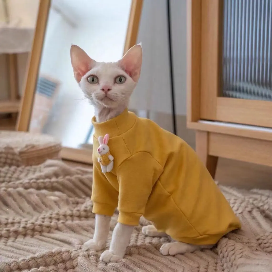 Qiqu Persediaan Toko Hewan Peliharaan Kustom Desainer Baru Sphynx Kucing Katun Mewah Pakaian Musim Dingin Hangat untuk Kucing Tanpa Rambut dan Devon Rex