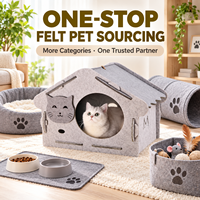 Maison pour chat en feutre moderne personnalisée, lit-caverne d'intérieur pour animaux de compagnie avec entrée en forme de visage de chat, vente en gros OEM ODM