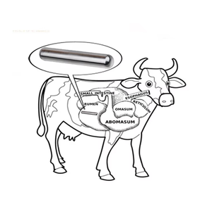 Imán de Alnico V en Forma de <span class=keywords><strong>Bala</strong></span>, Barra Cilíndrica de Alnico, Suministro Directo de Fábrica - Product Image 2