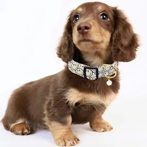 Collar de perro hecho a mano de algodón, patrones lindos y distintivos, cara sonriente blanca y naranja con colgante para niña, niño, perros, collares - Product Image 5