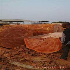 WS3500 Corte de troncos grandes Sierra de cinta horizontal corte de madera dura - Product Image 4