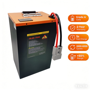 Contrôleur EV haute puissance à semi-conducteurs 72V 50AH 75AH 100AH 200AH pour cycles profonds 3000W 5000W 8000W 200A 6000 cycles <span class=keywords><strong>ETOP</strong></span>/OEM - Product Image 3
