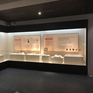 תצוגת זכוכית חלון ראווה ארון תצוגה תצוגה מפעל ייצור מוזיאון מותאם זכוכית אלומיניום מחוסמת פלדה - Product Image 5