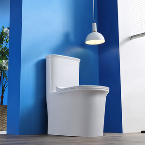 Ánh sáng sang trọng thiết bị vệ sinh dual-tuôn ra phòng tắm thiết kế nhà vệ sinh commod Giá vòi hoa sen piss WC nhà vệ sinh nhà cung cấp - Product Image 4