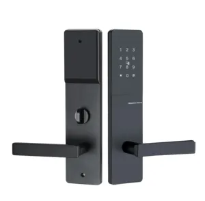 Camera d'albergo blocco della porta maniglia RFID carta magnetica chiave Smart serratura per Hotel con sistema Software di gestione