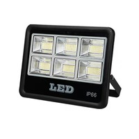 Projecteur LED extérieur haute luminosité 100W/200W COB IP68 étanche, angle de faisceau 144°, télécommande, garantie 5 ans, CRI95 120000