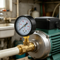 2.5" Dial 0-16bar Dual Scale Brass Radial Bottom Mount Pressure Gauge for Air Compressor Water Treatment Industrial Pipeline