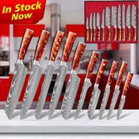 Livraison gratuite SkyCook Couteau de cuisine à désosser et à fileter de 6 pouces en acier Damas VG10 à 67 couches avec manche en résine rouge lave