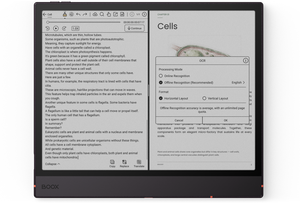 Boox Note Air6 C Farb-E-Ink-Bildschirm Tablets zum Lesen und Schreiben - Product Image 4