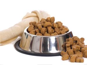 Offre Spéciale : Machine d'Extrusion Alimentaire pour la Production de Granulés Secs (Spike et Tom's) – Ligne de Production d'Extrusion de Croquettes Séchées - Product Image 4