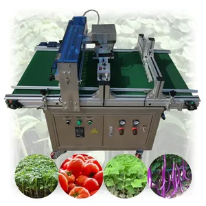 Agricultural Tray Seeding Machine Automatic Tray Seed Machine for Planting Seeds in Seedlings Tray