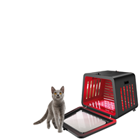 Séchoir intelligent pour animaux de compagnie à faible bruit et température constante, séchoir automatique pour chats, armoire de séchage pour petits chats et chiots