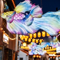 Maßgefertigtes Realistisches Fischförmiges Tier-Laternen-Set Outdoor Seiden-Festival-Laterne für Freizeitpark-Dekoration