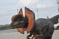 Costume de dragon réaliste grandeur nature pour adulte, costume de dinosaure pour fête, costumes de dinosaures personnalisés