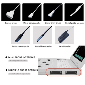 Système d'échographie Doppler couleur numérique professionnel pour ordinateur portable, écran LCD 15 pouces, échographe vétérinaire portable pour la gestation animale - Product Image 6