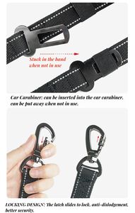 Correa reflectante para pasear perros, correa elástica para entrenamiento de mascotas con absorción de impactos, 2 asas acolchadas para el tráfico, correa retráctil para perros - Product Image 5