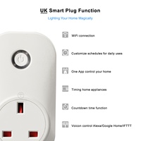 Prise électrique WiFi à commande à distance 240V de Chine avec courant nominal de 13A et protection IP20