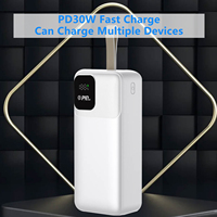 Prix usine 30000mAh Banque de puissance haute capacité 30W 45W 65W Chargeur portable à charge rapide 20000mah 40000mah 50000mah