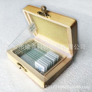 Factory direct wholesale of coin bud slides, biological sections, plant and lichen sections, for <b>microscope</b> use. - Product Image 4