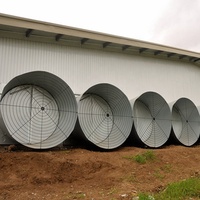 Projet clé en main Ferme avicole automatique moderne Équipement avicole automatique pour poulets de chair et pondeuses