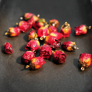 Bất Nở Rose Flower Charms Mặt Dây Chuyền Nhựa Nhỏ Rosebud Hoa Mặt Dây Chuyền Cho Vòng Đeo Tay Bông Tai Tự Làm Đồ Trang Sức Phát Hiện - Product Image 1
