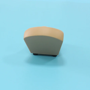 Modelo Anatómico de Anticonceptivo Intrauterino de Alta Calidad Marca Yulin, Modelo Dental Avanzado de PVC, Color Piel, Certificado ISO, YL-03047 - Product Image 4