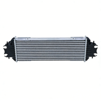 Intercooler Radiateur d'air 4408078 pour Renault Trafic II Opel Vivaro Nissan Primastar 1.9 DCi