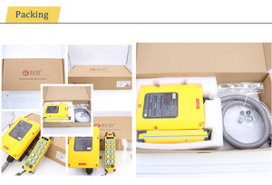 Simple Operation Smart Electric Hoist Remote Control Waterproof Overhead Crane Industrial Wireless Remote Control - Product Image 4