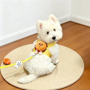 Harnais de poitrion pour chien et chat, motif ours mignon, pour promenade, laisse de traction, style Kawaii - Product Image 4