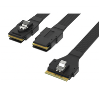 Câble SFF-8654 PCIe 4.0 SlimSAS 8i vers câble de disque dur de serveur 2 Mini sas hd SFF8643