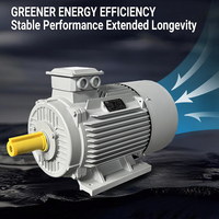 Moteur asynchrone 50HZ 60HZ 1440 tr/min 30kw 40hpMoteur triphasé Moteurs électriques à courant alternatif
