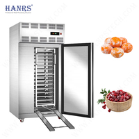 2025 Hanrs Commercial en acier inoxydable refroidisseur de souffle congélation rapide refroidisseur d'air cryogénique congélateur de choc congélateur de souffle cryogénique
