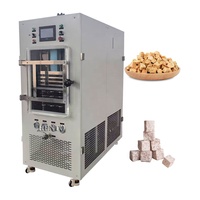 Automatische vacuümvriesdroger voor fruit- en groentechips / Vacuümvriesdroger voor voedsel / Vacuümvriesdroogmachine
