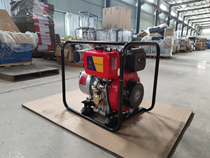 Offre Spéciale EAGLE POWER <span class=keywords><strong>Pompe</strong></span> à Eau Automobile 13HP Moteur Diesel 186FA 4" pour Irrigation Agricole <span class=keywords><strong>220V</strong></span> Support OEM Personnalisé - Product Image 4