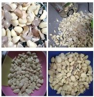 Mesin Pengupas Bawang Putih Otomatis Komersial Harga Kompetitif, Unit Pembuat Bawang Putih Kupas Tahan Lama untuk Pabrik Pengolahan Katering