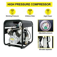 Compresseur d'air TUDIVING CE à gonflage rapide, double cylindre, arrêt automatique, 220V, 4500psi, 30Mpa, pour réservoir PCP, paintball, chasse, plongée sous-marine
