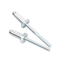 Rivets pleins en aluminium sur mesure pour fixations à clipser, pour l'assemblage de tôles automobiles, fournisseur en gros, services d'usinage