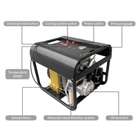 TUXING Stable Performance High Pressure 4500psi 300bar Auto Stop 220V Firefight Tyre Inflation Air Compressor for Scuba Diving