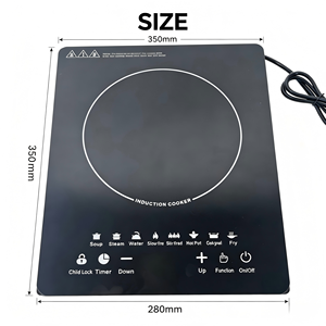 Cocina de Inducción Portátil de 2200W con Panel de Vidrio Pulido y Carcasa de Acero Inoxidable, Placa de Cocción Eléctrica de Sobremesa, Entrega Rápida - Product Image 5