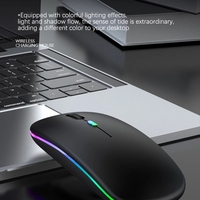 Mouse Nirkabel LED Backlit RGB Isi Ulang, Mouse Komputer Nirkabel Senyap Ergonomis untuk Laptop PC