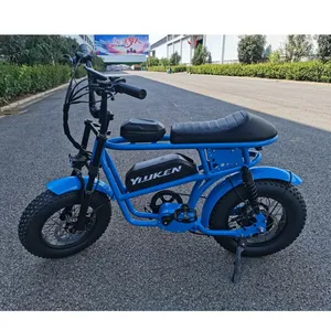 아이들을 위한 핫 세일 전기 자전거 미니 Ebike 20 인치 지방 타이어 전기 산악 자전거 500w Electrica 비치 크루저 전자 자전거