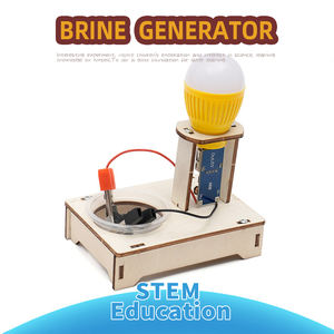 Kit d'expérimentation physique de lampe à énergie salée DIY, batterie au sel, jouets en bois, éducation précoce Montessori - Product Image 2